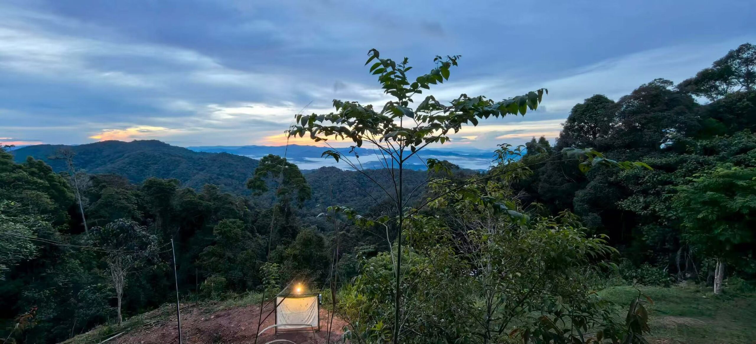 Borneo