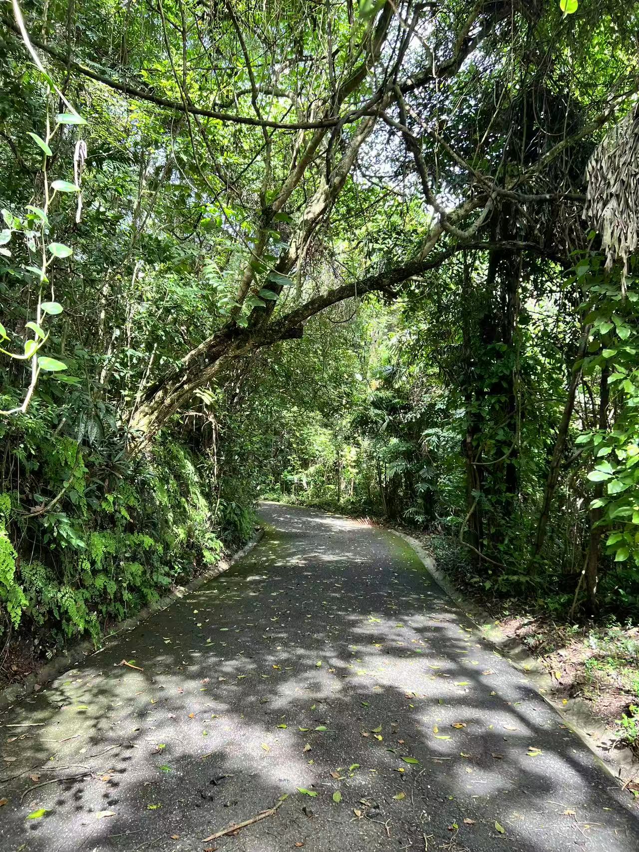 Dominican Republic