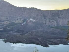I Hiked a Volcano, and All I Got Were These 18 Bugs