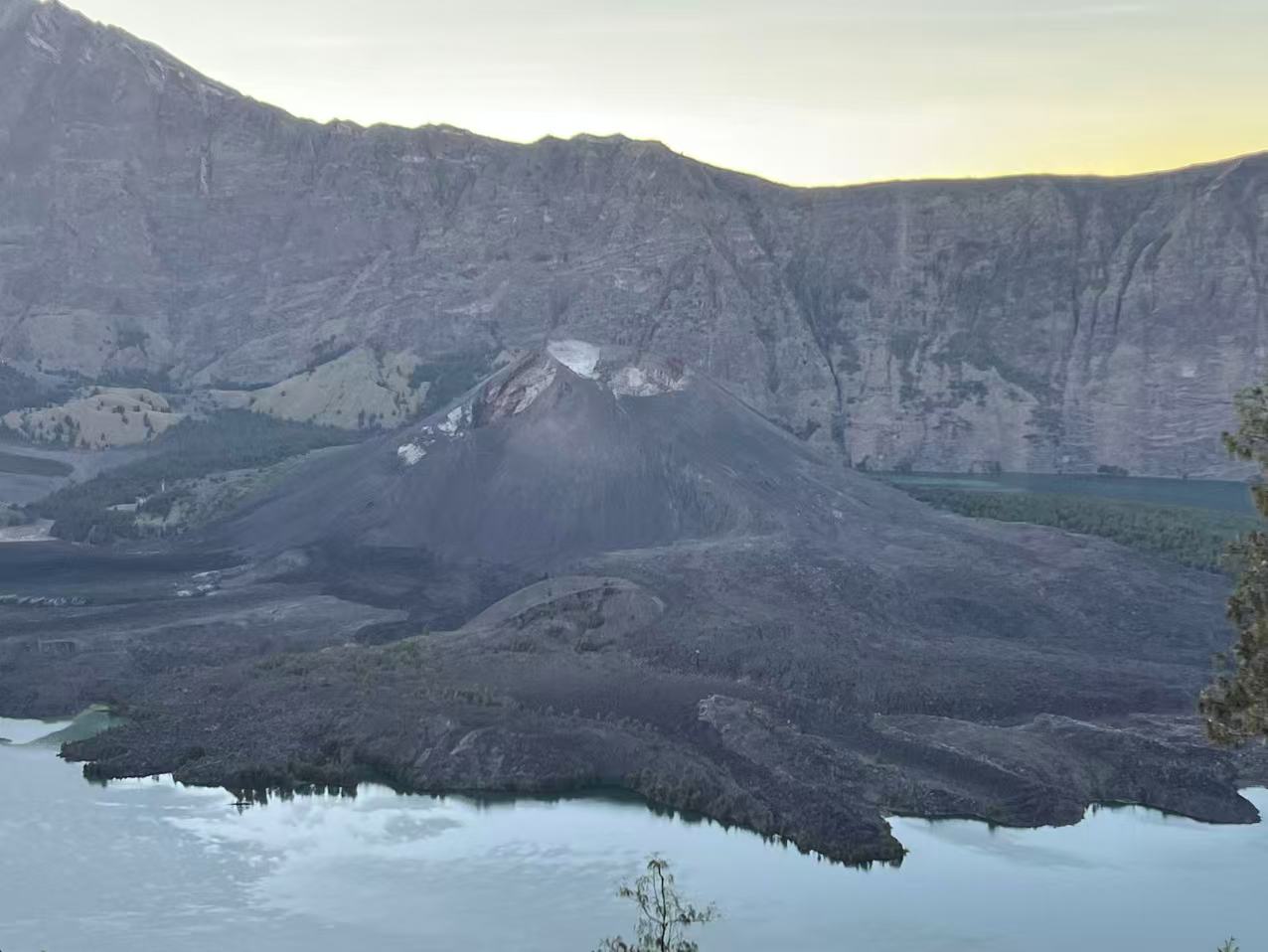 I Hiked a Volcano, and All I Got Were These 18 Bugs