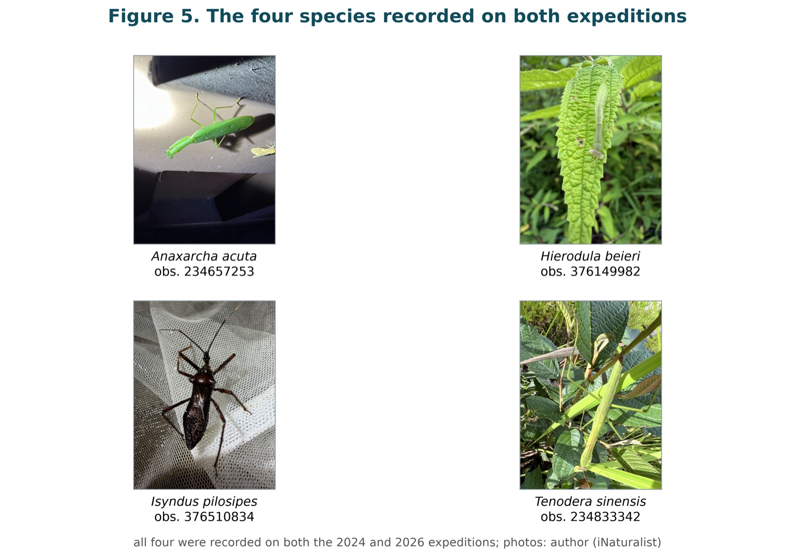 Figure 5. Species recorded on both expeditions.